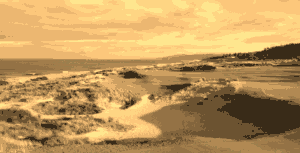 Functional Swing Technique