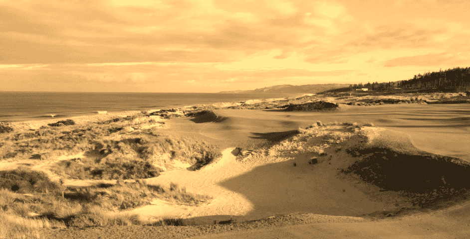 Functional Swing Technique