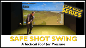 safe shot swing