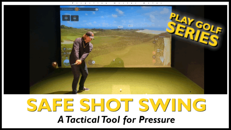 safe shot swing