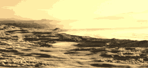 A Powerful Golf Swing Clips It