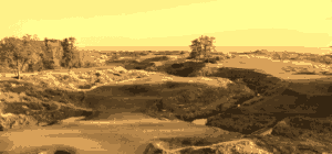 Power & Control in the Golf Swing