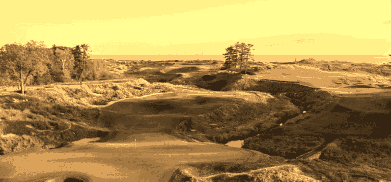 Power & Control in the Golf Swing