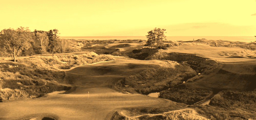 Power and Control in the Golf Swing