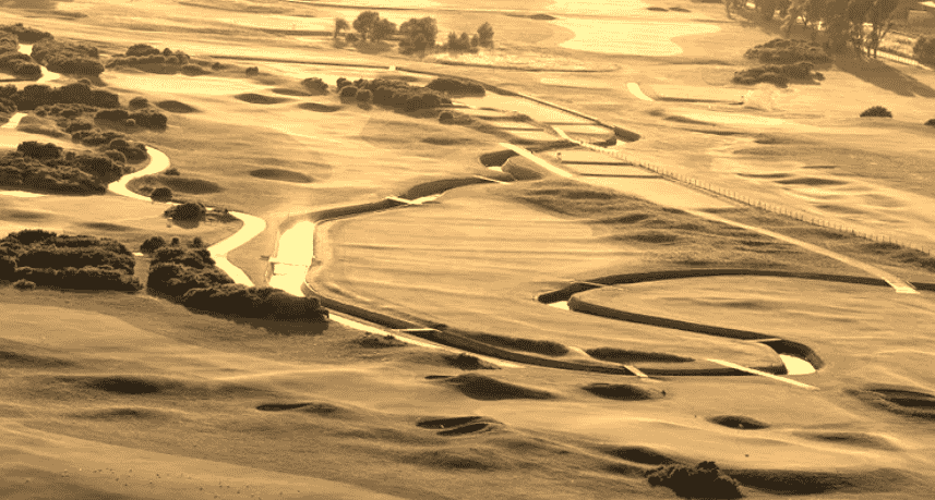 Your Golf Brain is Stupid - It demands simple coordinates