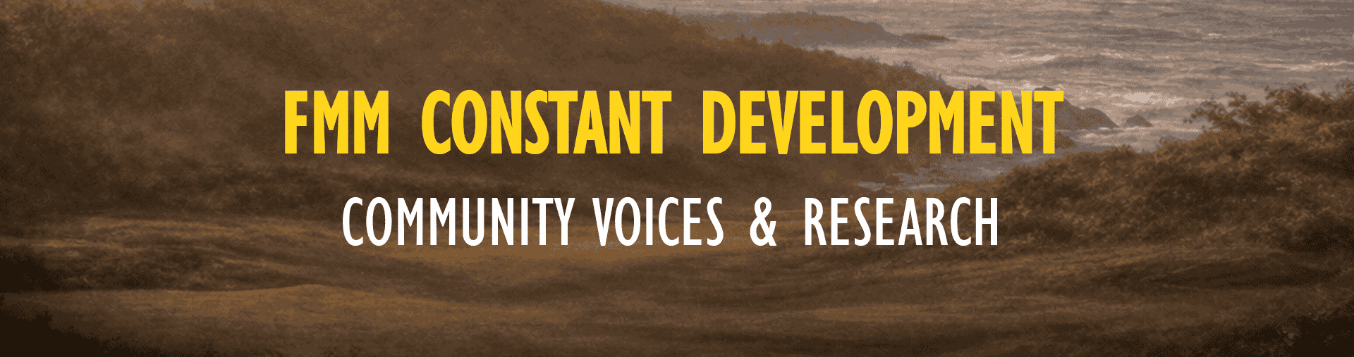 FMM Academy - Divider 3 - Wide