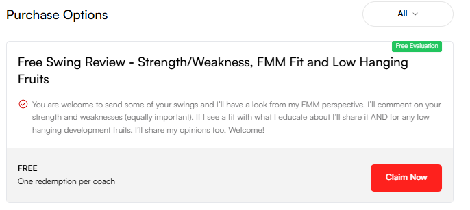 Skillest Free Swing Review